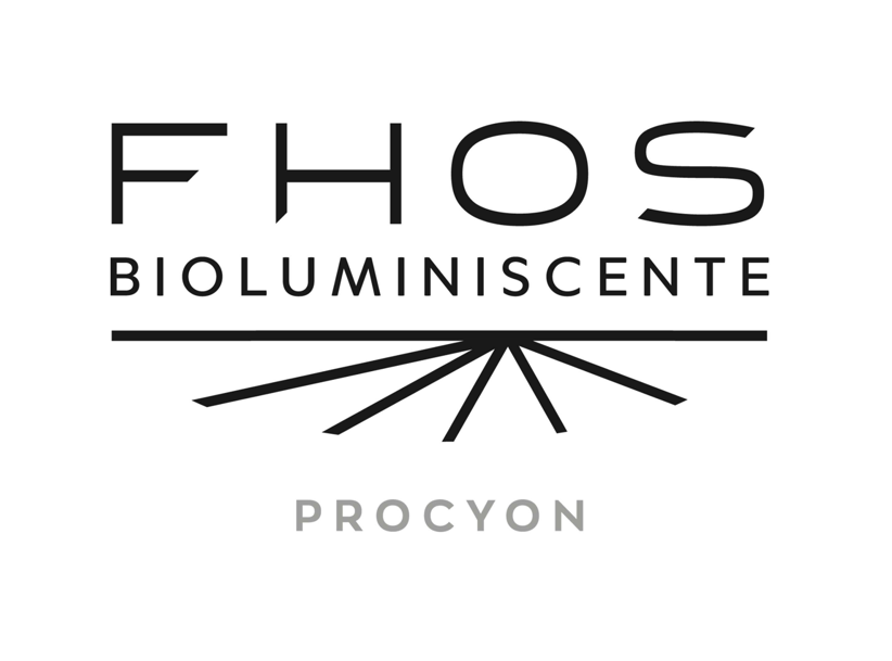 logo-fhos-salon-de-belleza-estrella